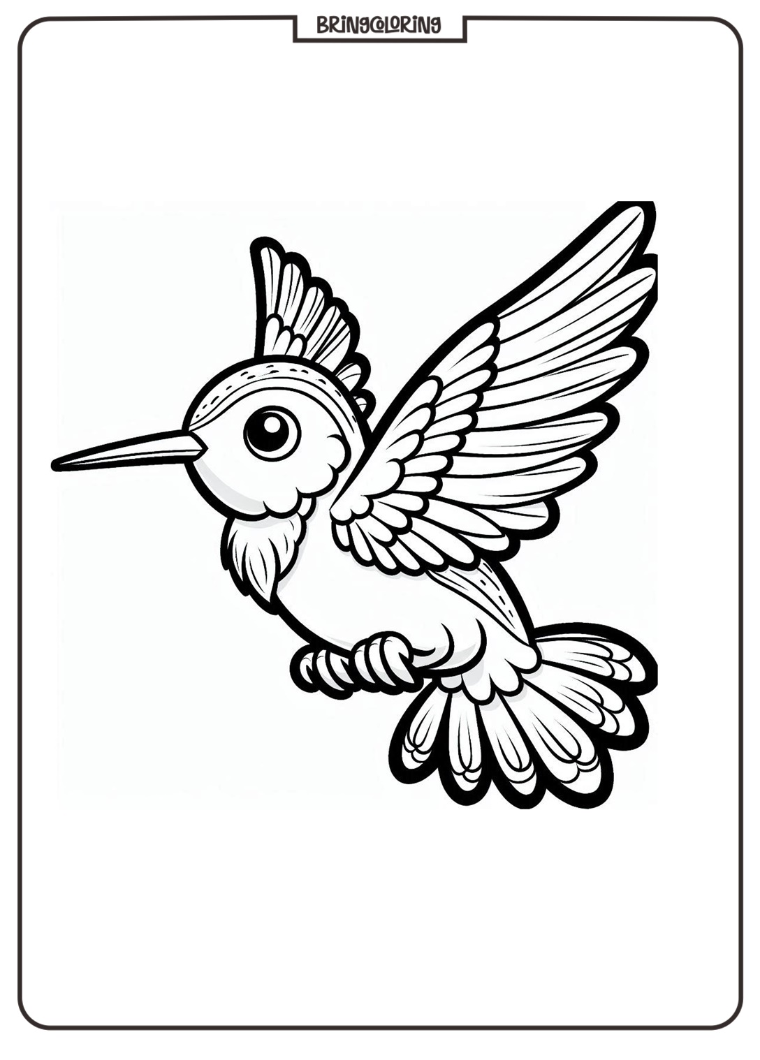 hummingbird coloring pages online for kids hummingbird coloring pages online for kids