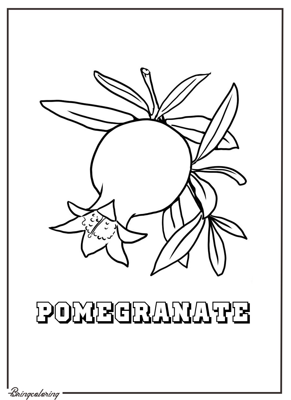 online pomegranate fruit coloring page online pomegranate fruit coloring page