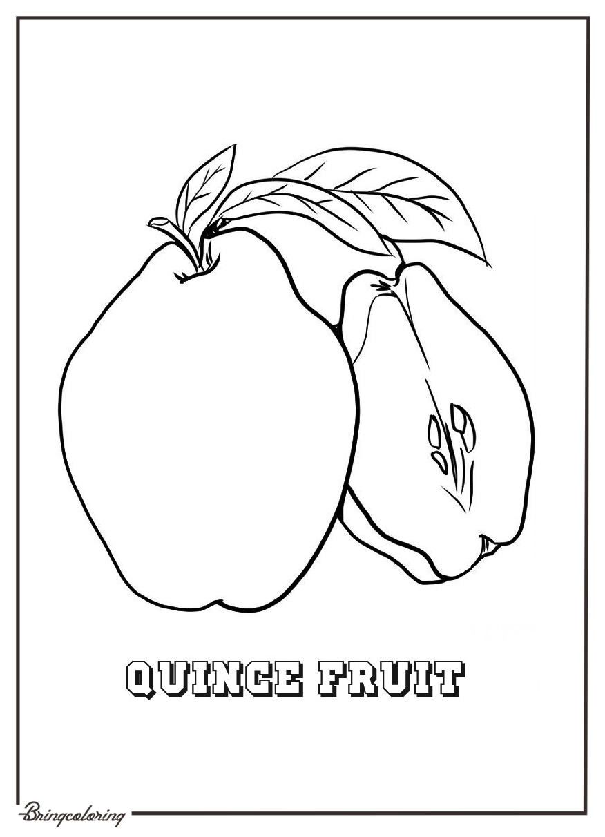 online quince coloring page for kid online quince coloring page for kid