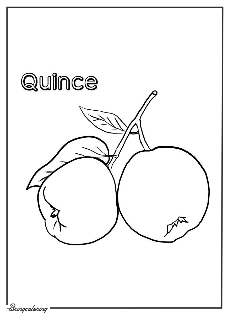 online quince coloring page online quince coloring page