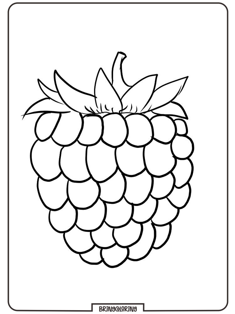 online raspberry coloring picture