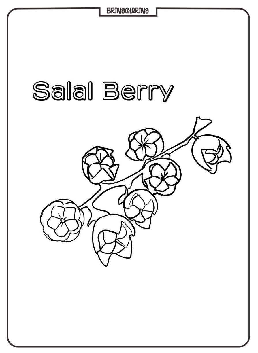 online salal berry fruit coloring page online salal berry fruit coloring page
