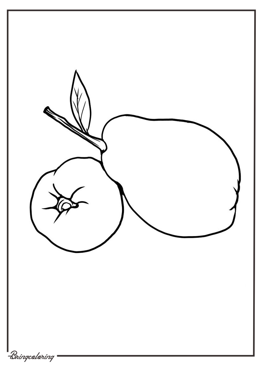 quince fruit coloring sheet online quince fruit coloring sheet online