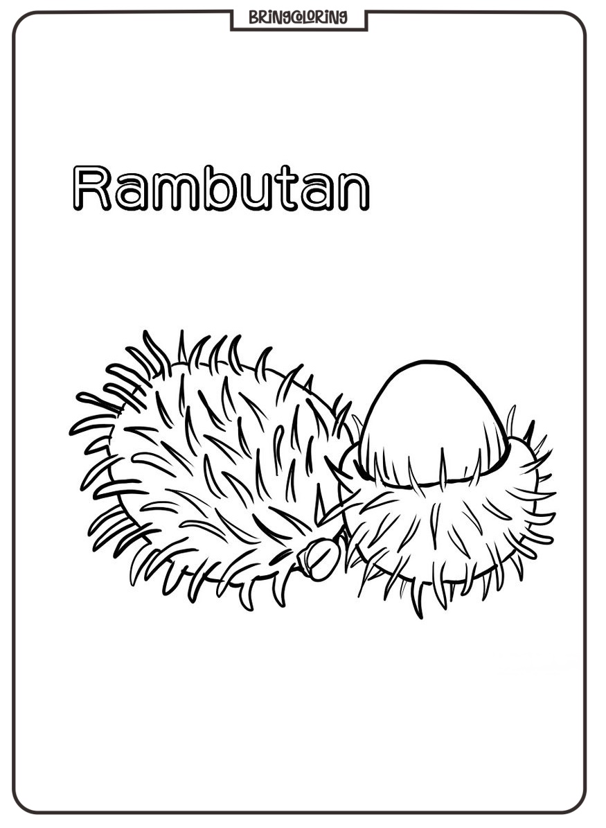 rambutan coloring pages rambutan coloring pages