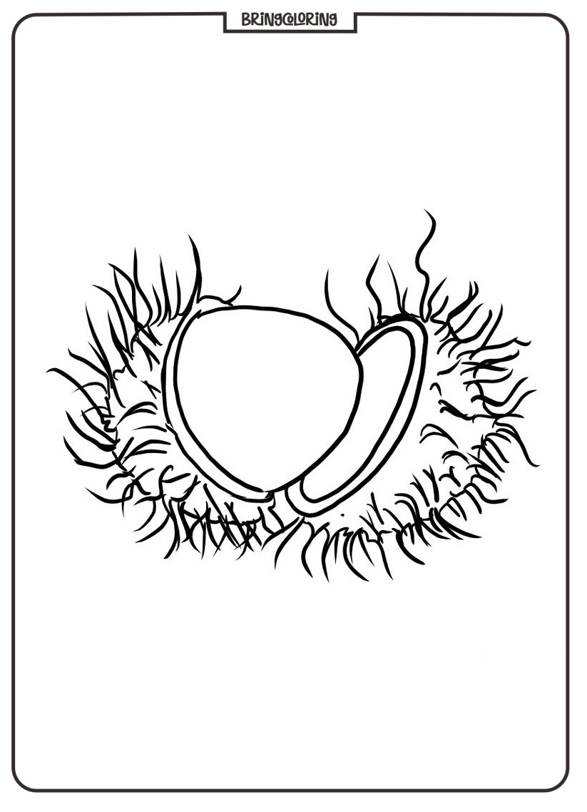 rambutan fruits coloring page rambutan fruits coloring page