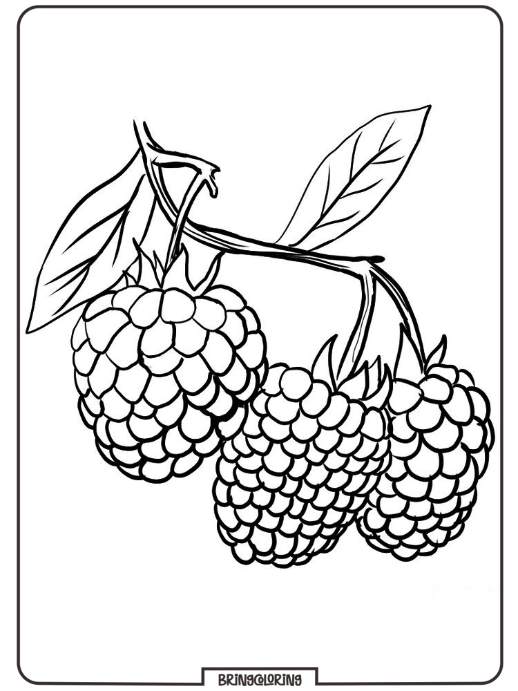 raspberry fruit coloring pages
