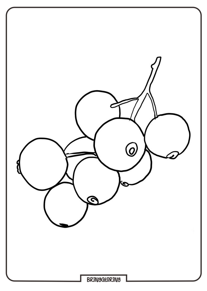 red currant images for coloring red currant images for coloring