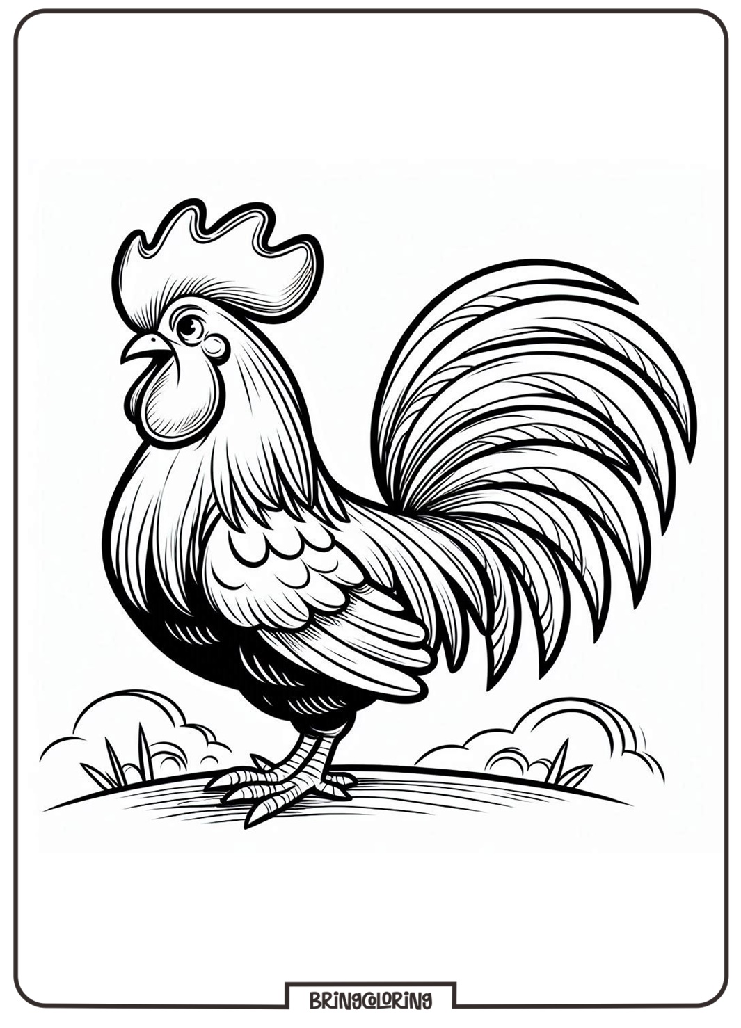 rooster coloring page for kid rooster coloring page for kid