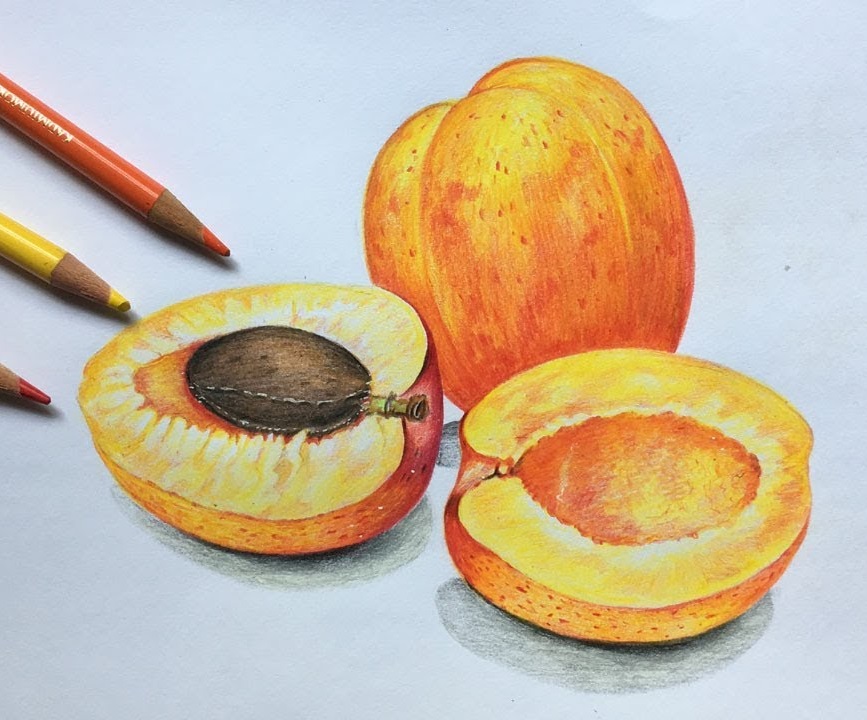 Apricot Coloring Pages, A Small Fruit with Big Flavor