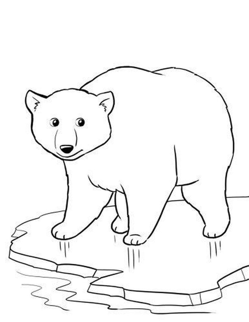 Awana Cubbie Bear Coloring Page