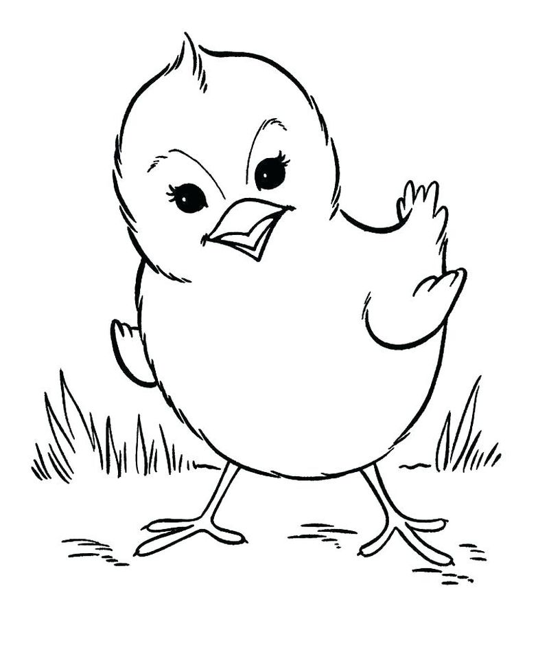 Baby Animal Coloring Pages Free pdf