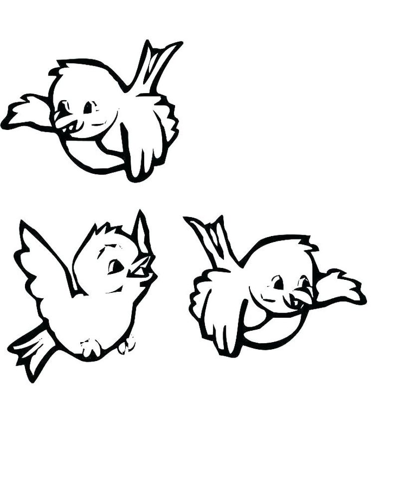 Baby Animal Coloring Pages Images