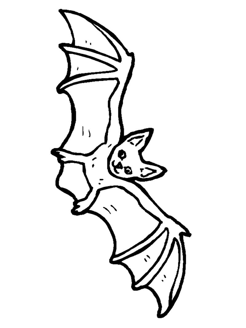 Bat Coloring Pages For Spring