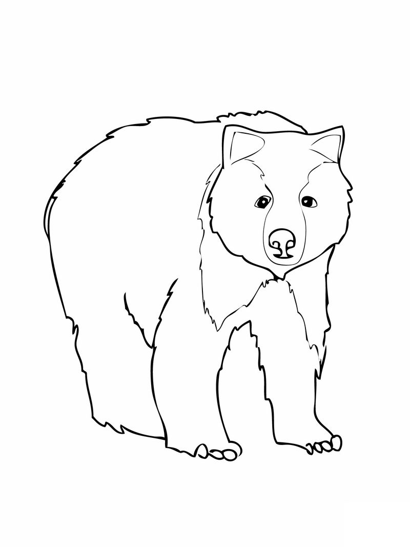 Bear Coloring Page For Preschool