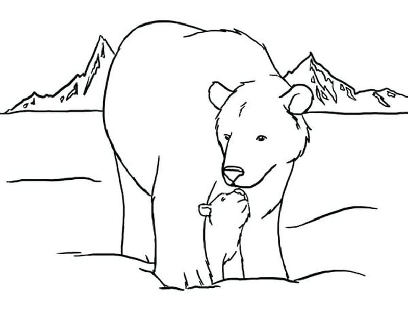 Bear Coloring Page Printable