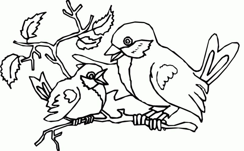 Bird Coloring Pages For Kindergarten