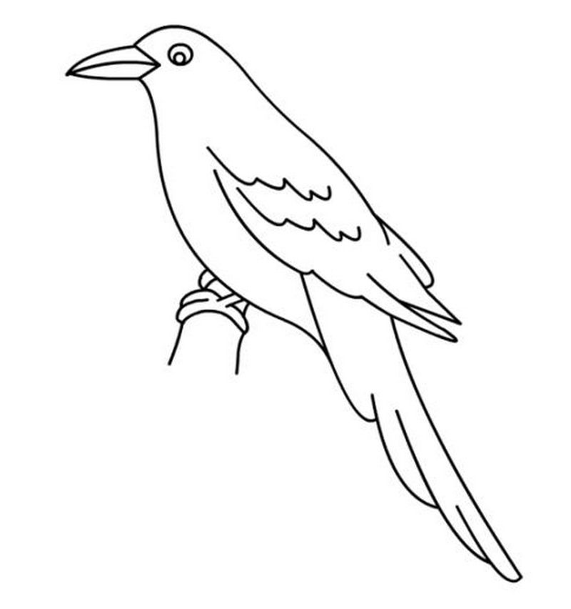 Bird Coloring Pages For Toddlers