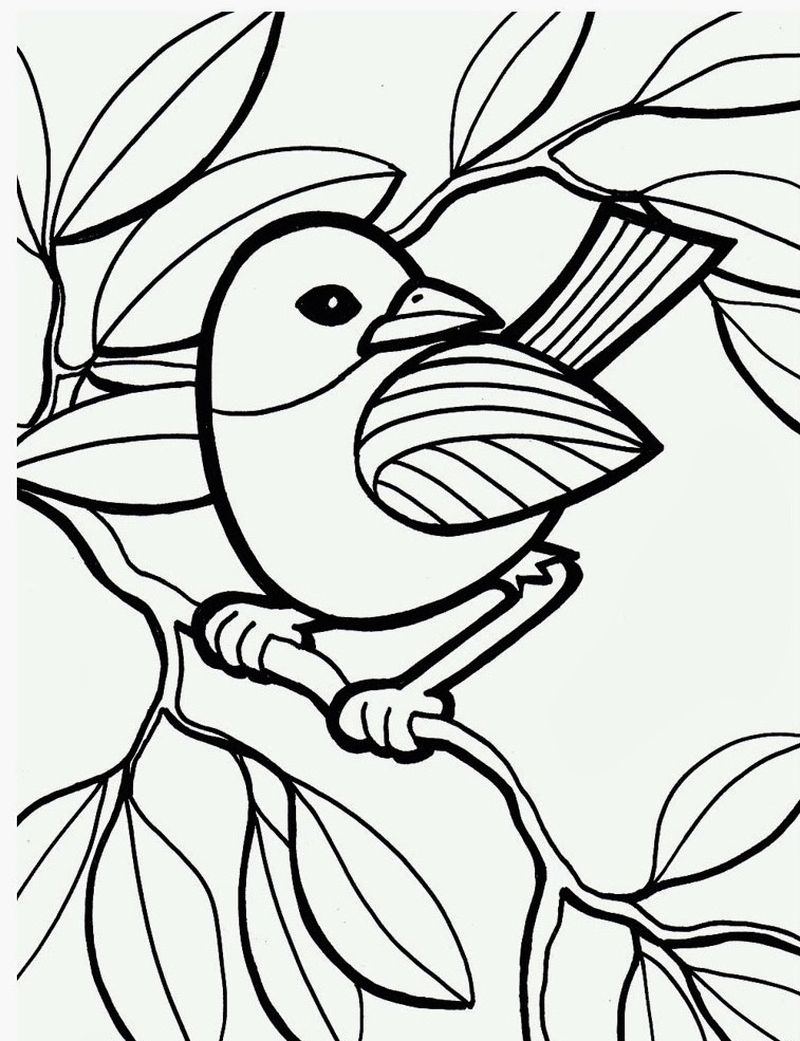 Bird Coloring Pages Free Printable