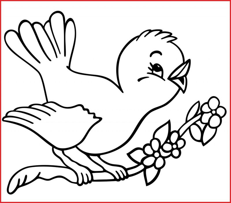 Bird Coloring Pages Simple