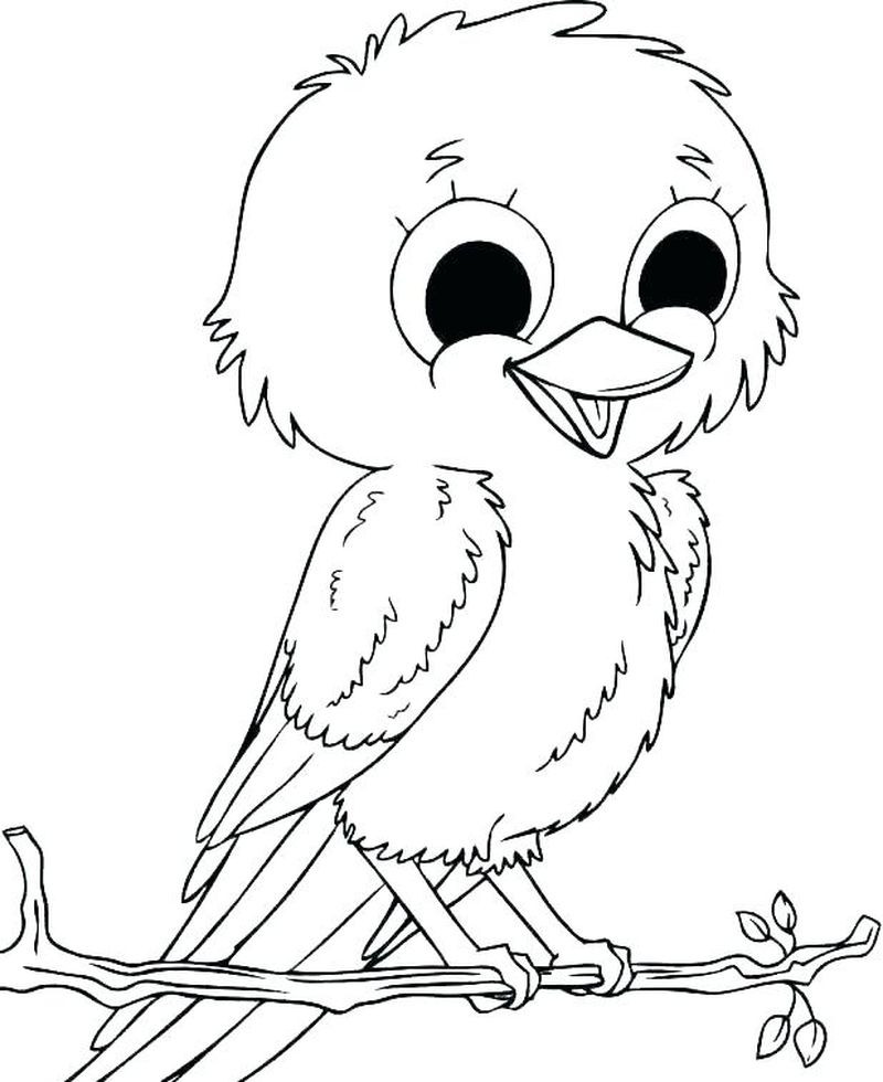 Bird Coloring Pages