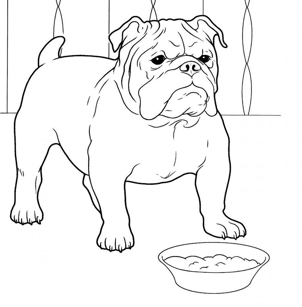 Cute Bulldog Coloring Pages