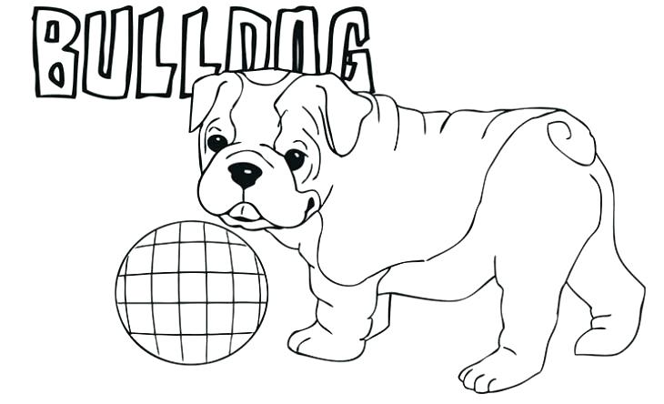 Cute French Bulldog Coloring Pages