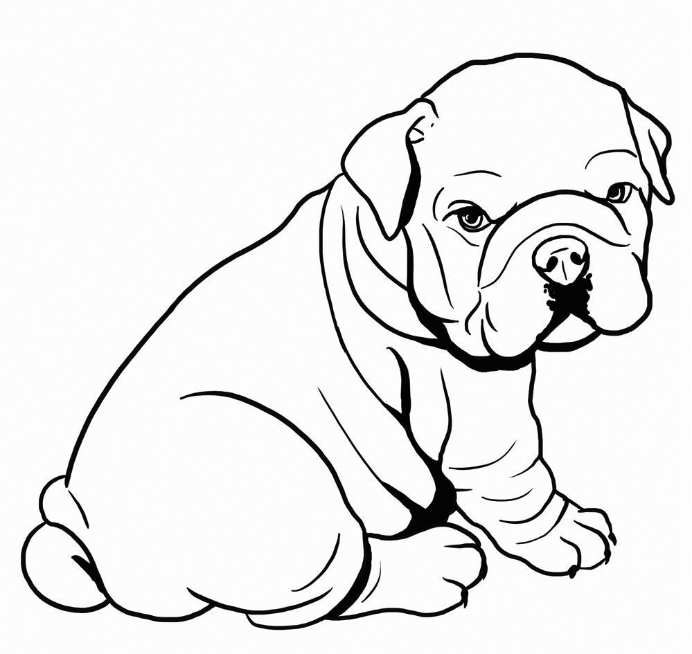 English Bulldog Coloring Pages