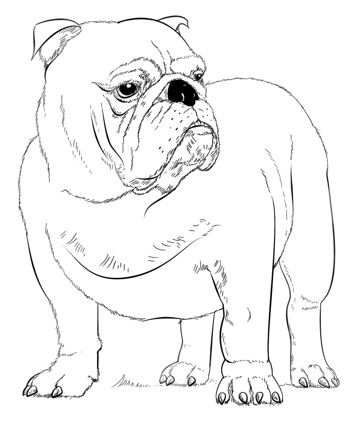 Free Georgia Bulldog Coloring Pages