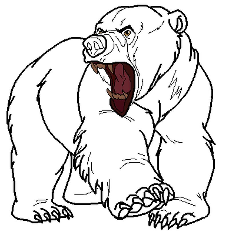 Masha And The Bear Coloring Page