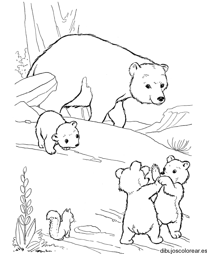 Wolf And Bear Coloring Page