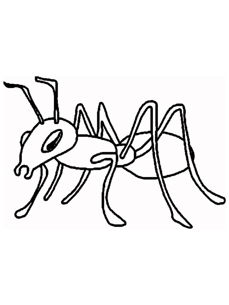 a for ant coloring pages