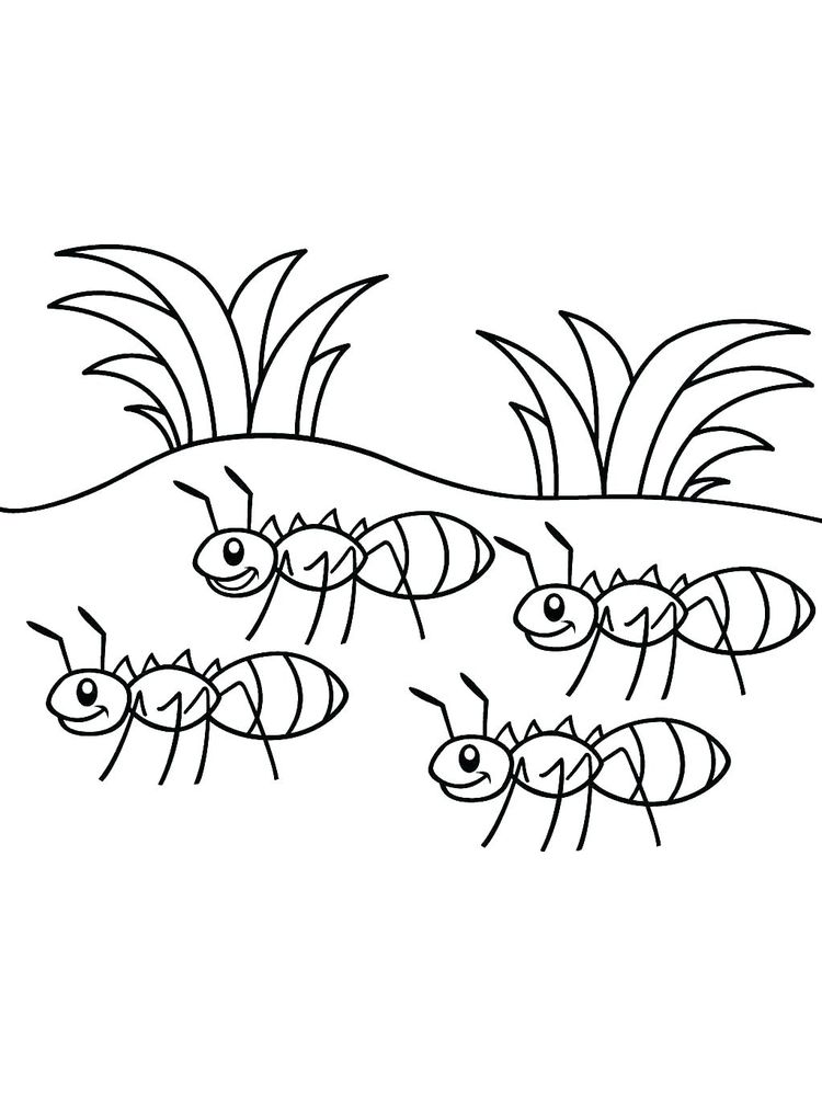 ant coloring pages free