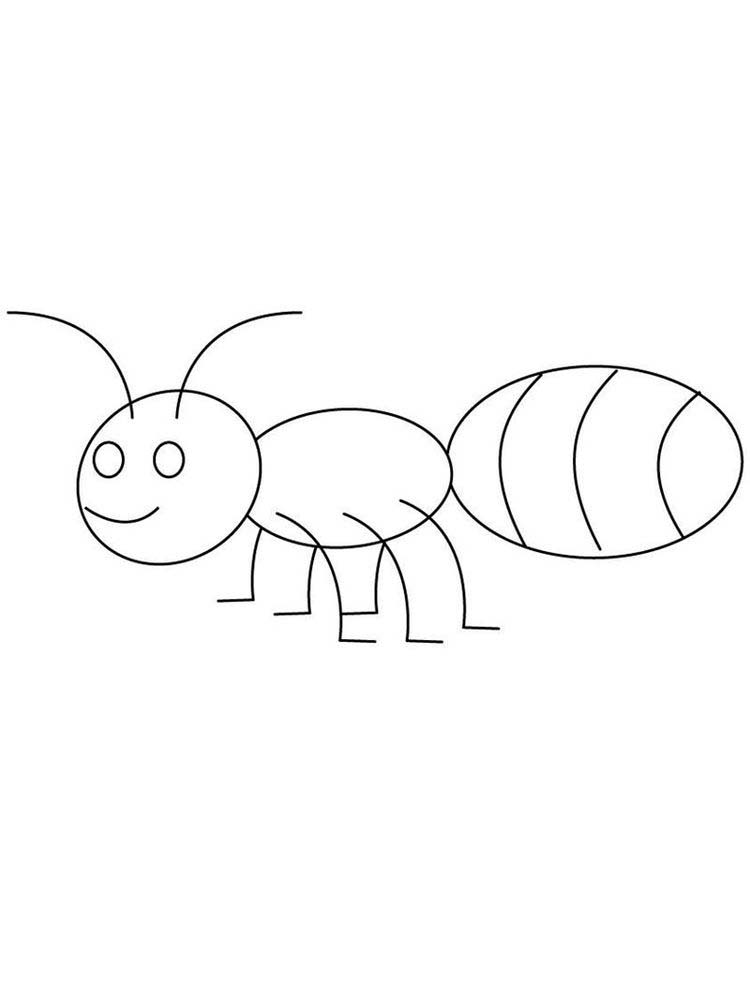 ant download coloring pages