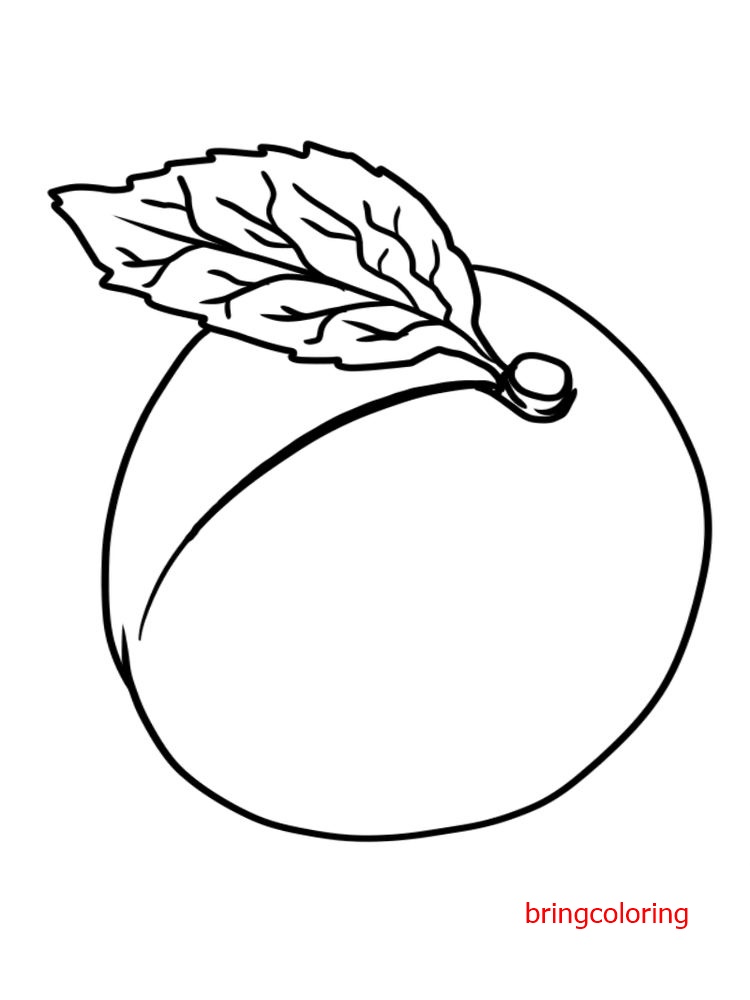 apricot coloring page image pdf