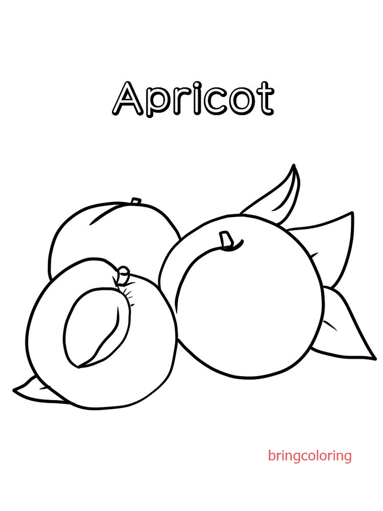 apricot coloring page printable pdf