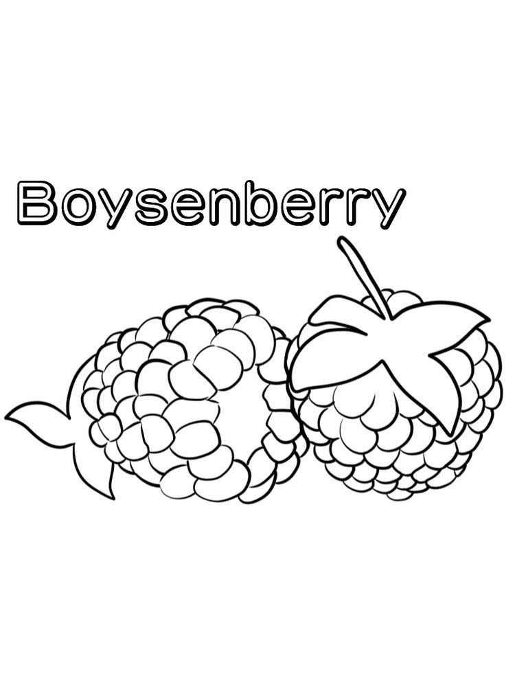 boysenberry coloring image free image