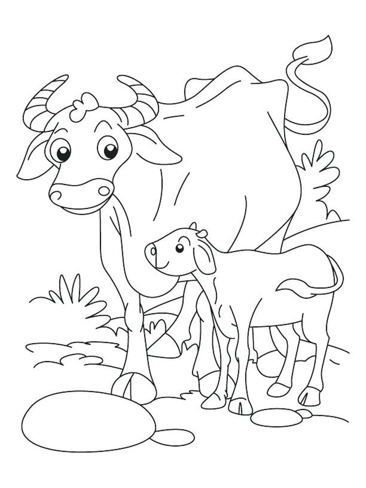 buffalo bills coloring pages printable