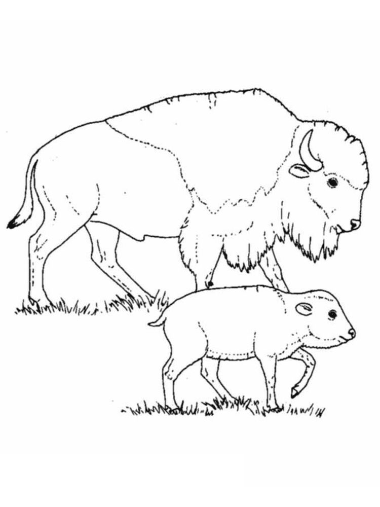 buffalo bills helmet coloring pages