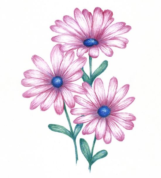 Daisy Coloring Pages Printable