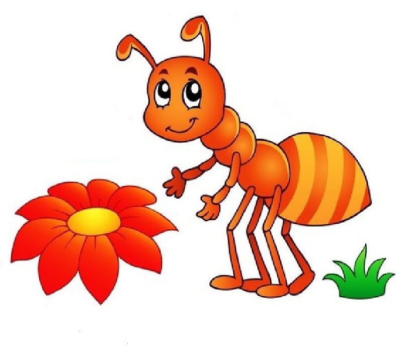 Printable Ant Coloring Pages