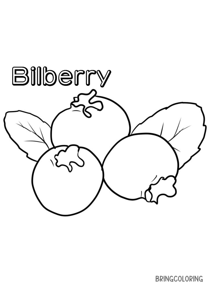 easy bilberry coloring page print