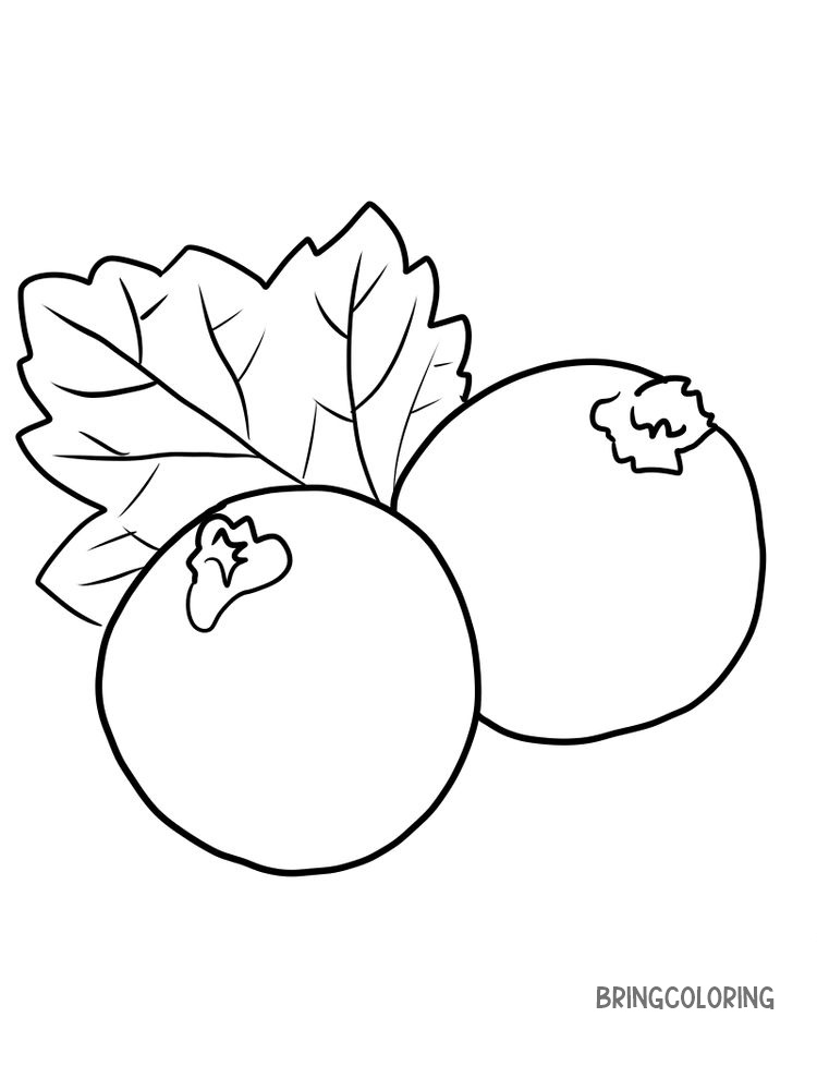 easy black currant coloring page for print pdf