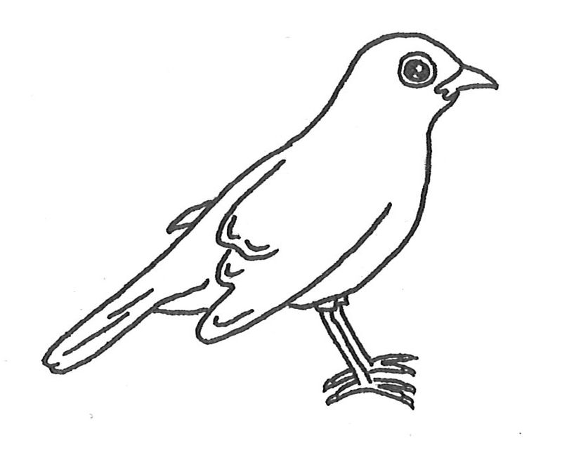 free Bird Coloring Pages