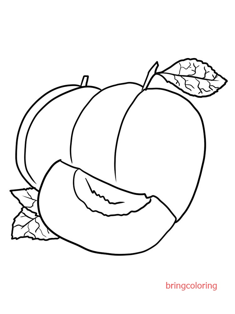 free apricot coloring page pdf