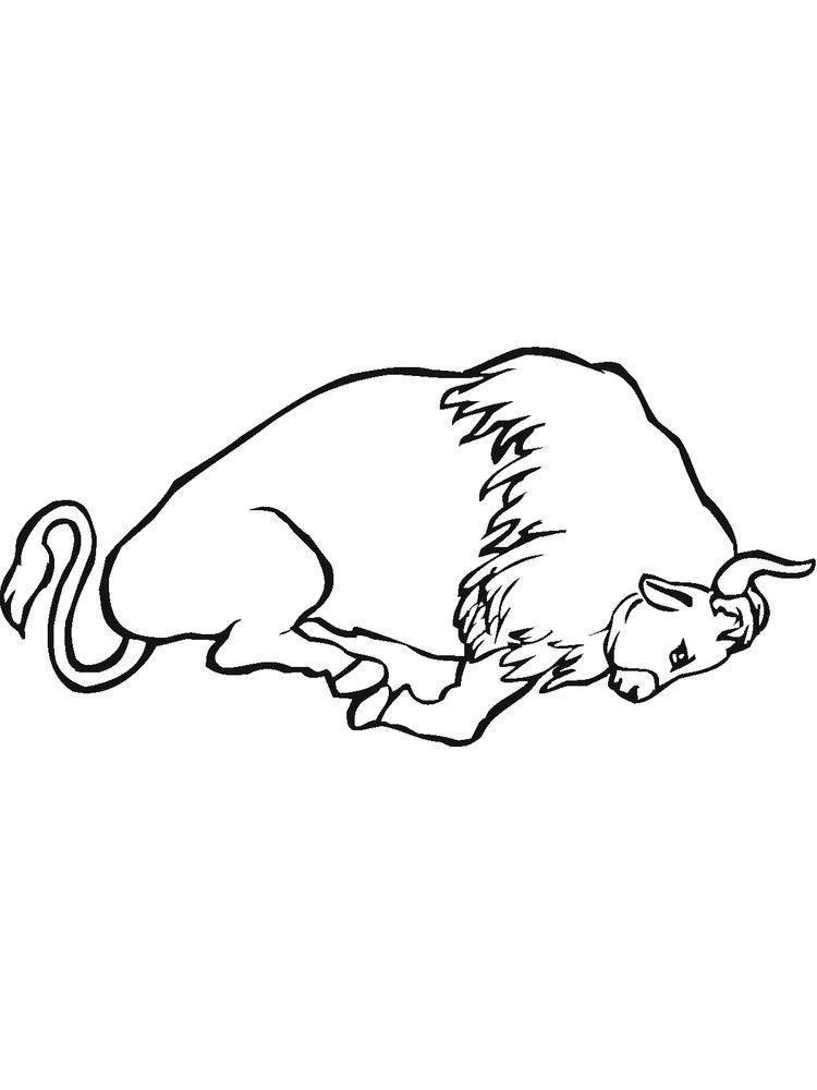 free coloring pages of buffalo