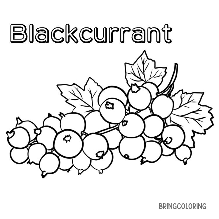 image Blackcurrant coloring page print