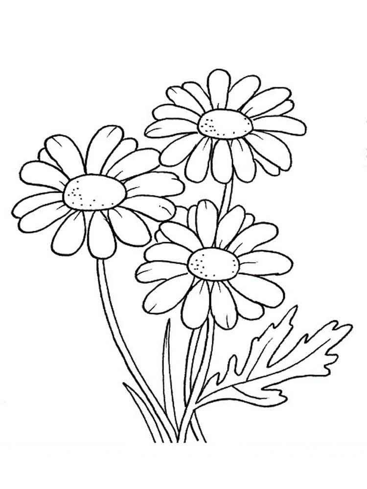 printable daisy flower coloring pages