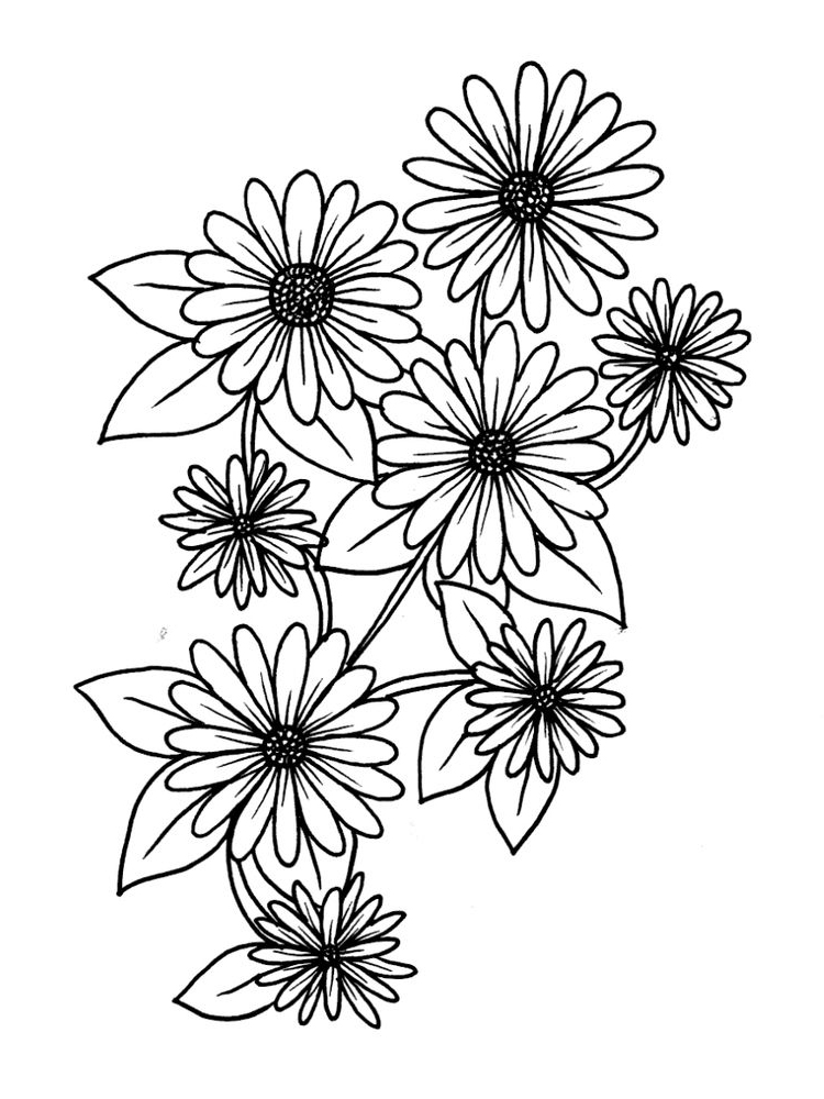 printable daisy flower printable coloring pages