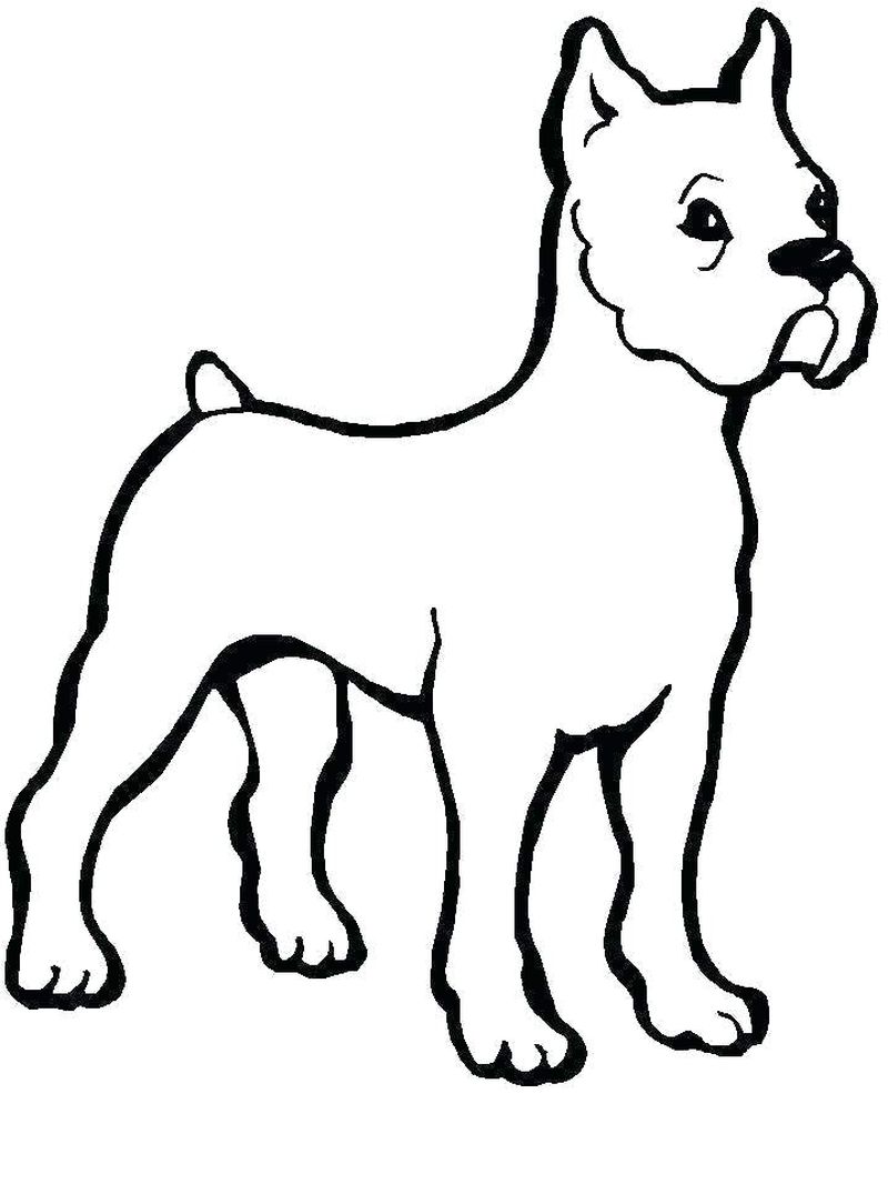 Coloring Pages About Dogs