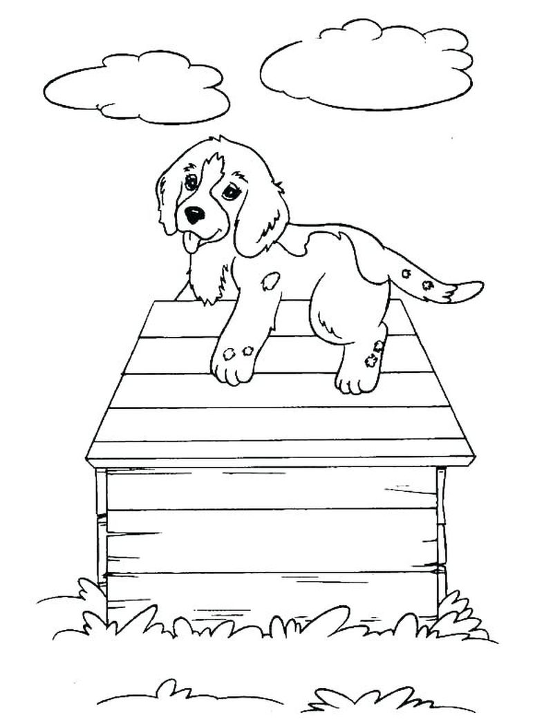 Coloring Pages Adults Dogs